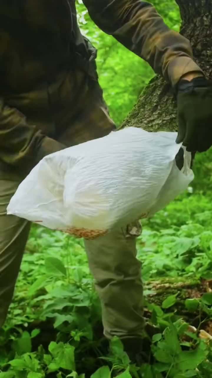 Cover for Survival skill #survival #survivalskills #tips #skill #fyp