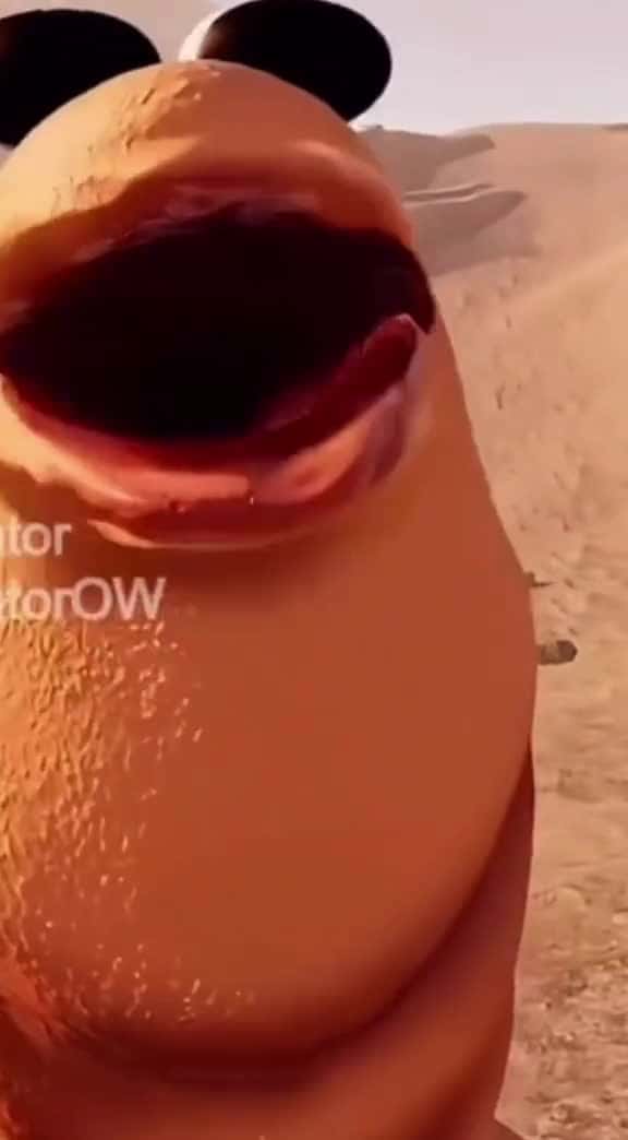 Cover for worm Marcus tribute 09294 #shortvideos