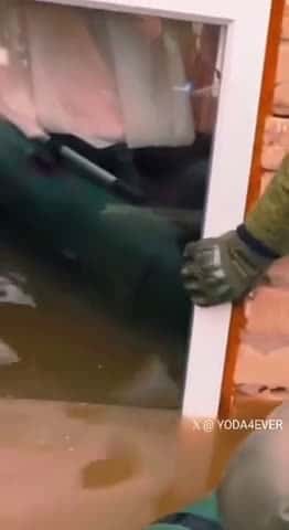 Cover for Heroic Rescue: Men Save Dog Left Stranded in Flooded Home 🐶💪 #FloodRescue #HeroicAct #DogRescue