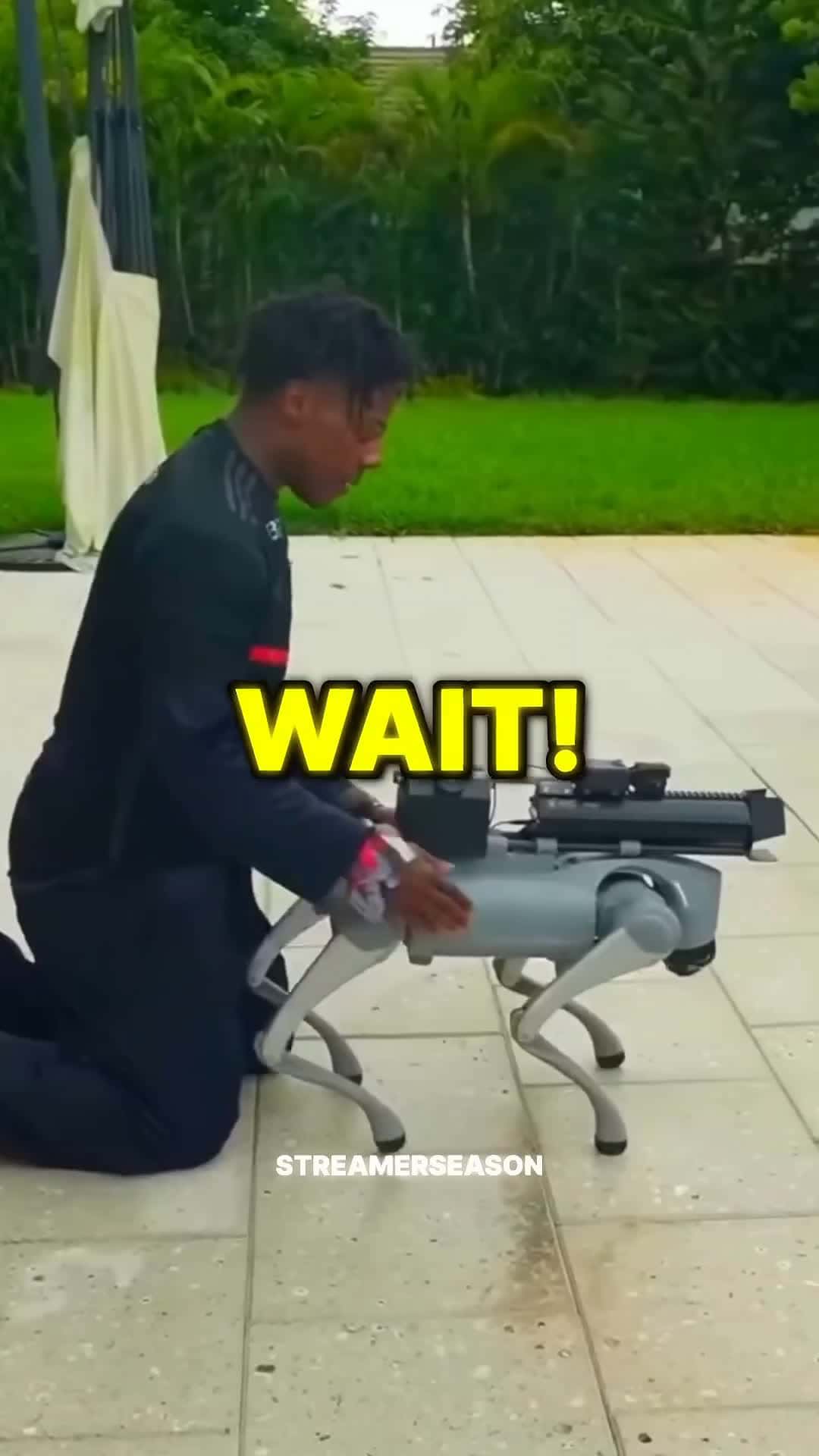 Cover for 100k dog ?