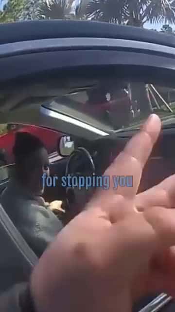 Cover for Defiant Crazy Female Driver Gets Owned B