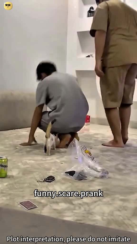 Cover for fyp fyp foryoupage funnymoments funnyvideo tiktok Tiktok tik tok 60558 #shortvideos