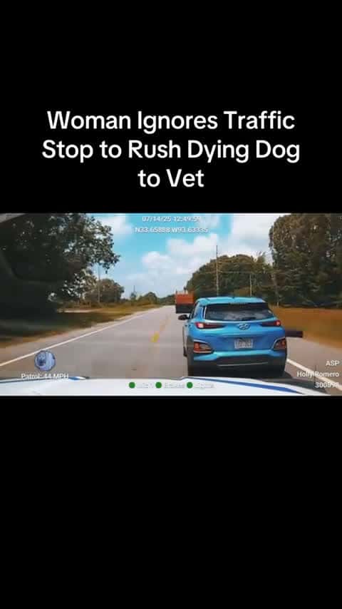 Cover for Arkansas officer prevents desperate pet owner from rushing dying dog to emergency vet 😢 #JusticeForPets #DogLovers #Heartbreaking