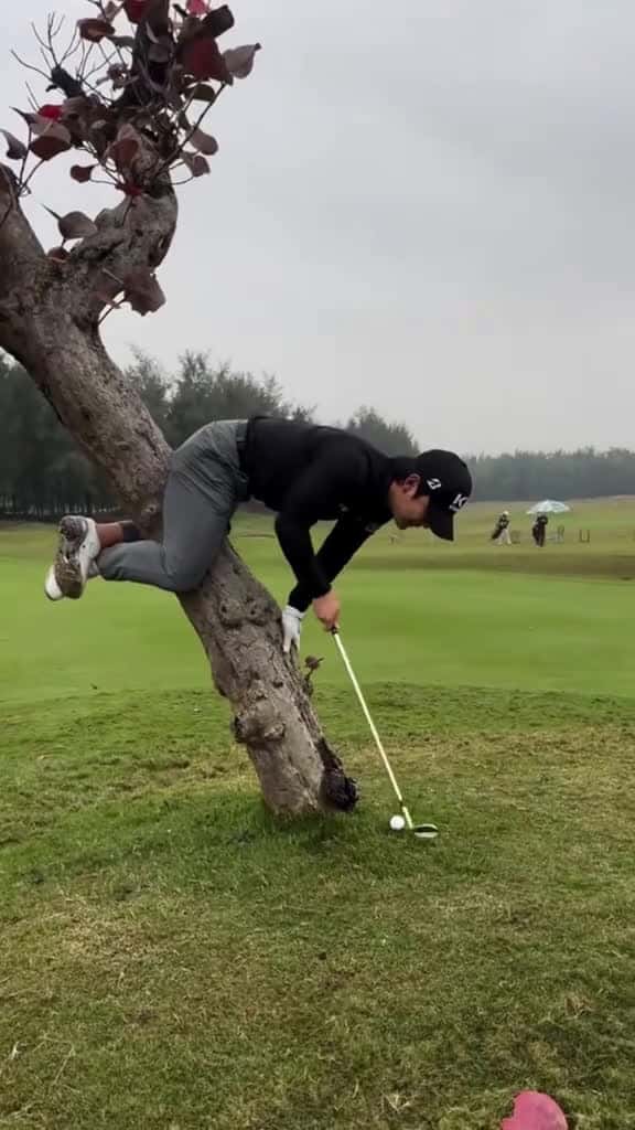 Cover for Funny golf fails fyp funny funnyvideos 64703 #trending