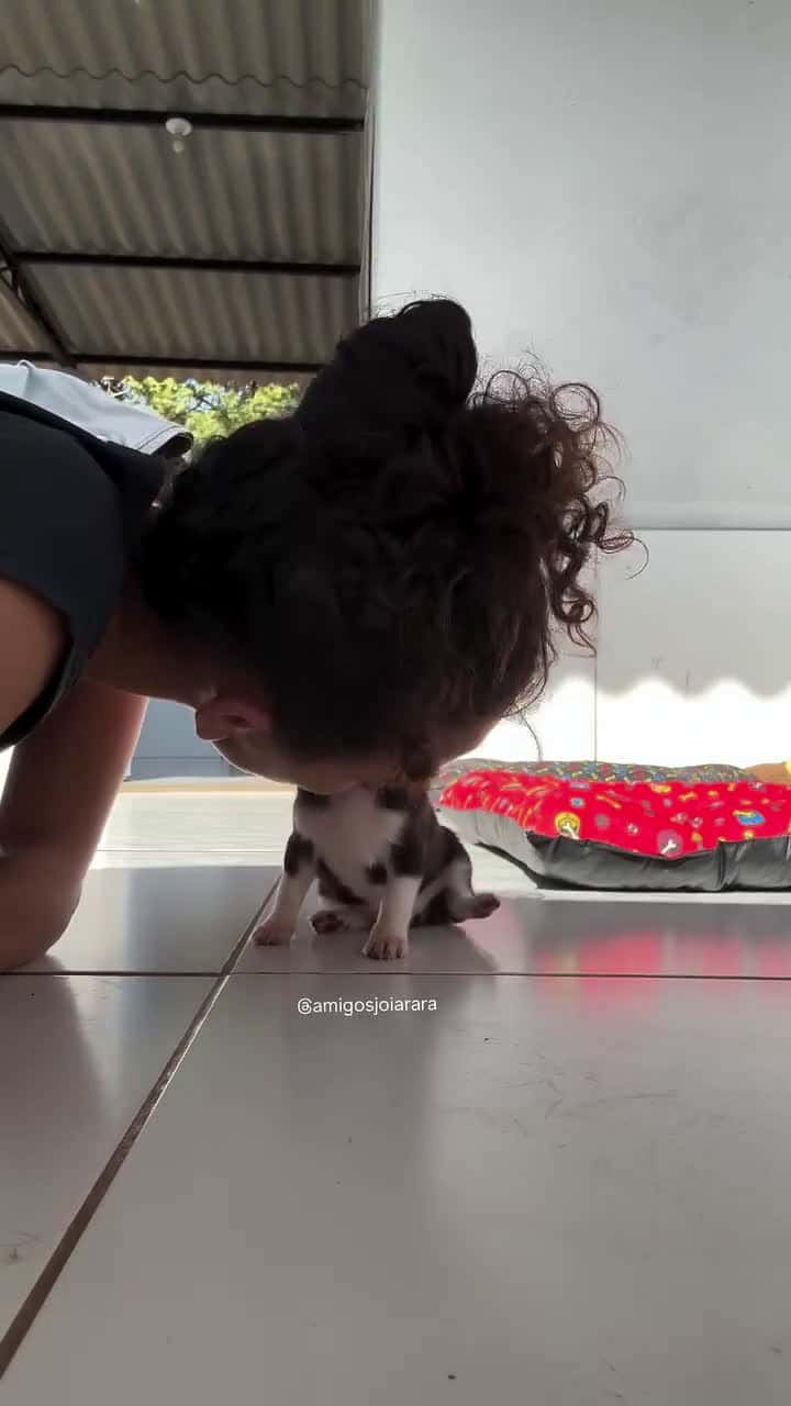 Cover for That tiny foot-tap says it all 🥺 His little rhythm is too cute to handle #Cute #TinyFeet #Adorable #SweetMoment #Viral