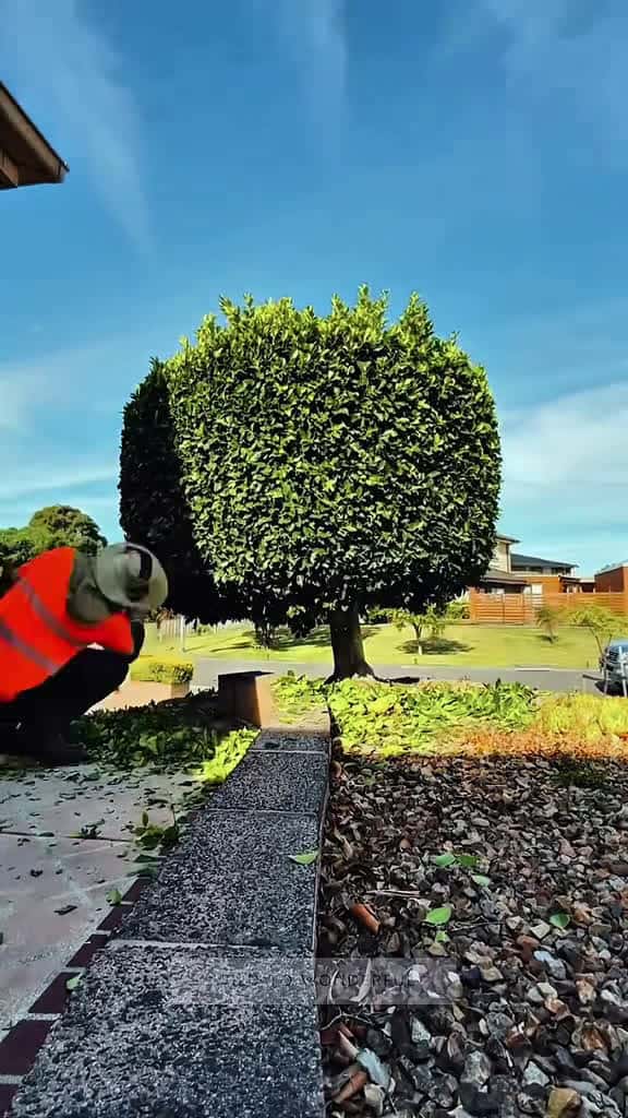 Cover for Hard work pays off watch till the end cleaning garden massfollowing satisfying cleaningasm 20270 #trend