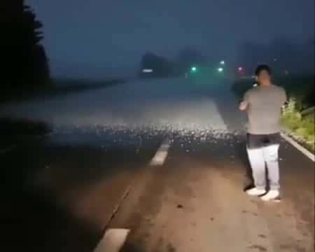 Cover for Caught just inches from a wild hailstorm! 🌨️ #Hailstorm #WeatherAlert #CloseCall