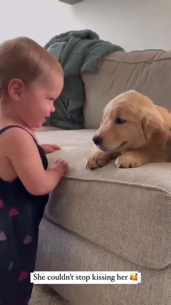 Cover for They still have a long time dog baby Love lovestory doglove bestfriend dogsoftiktok foryou 85390 #ilovescoopz