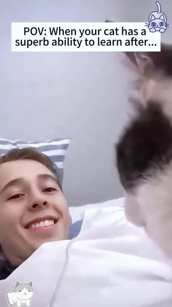 Cover for Cat imitation is good catsoftiktok foryou cat funnycat fyp viral funny fuunyvideo funnypet 76174 #trend