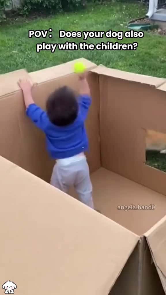 Cover for Left my kid with the dog for 24hrs... foryou fyp funny dog dogsoftiktok kid 29310 #trending