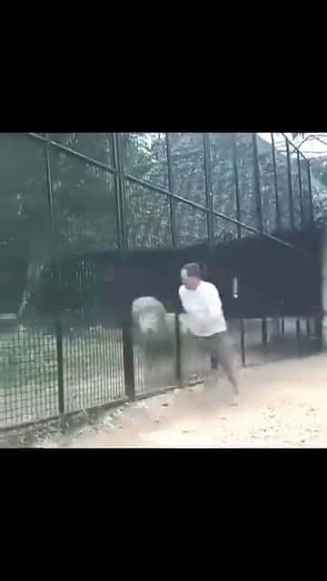 Cover for Trying to trick this lion😂😂