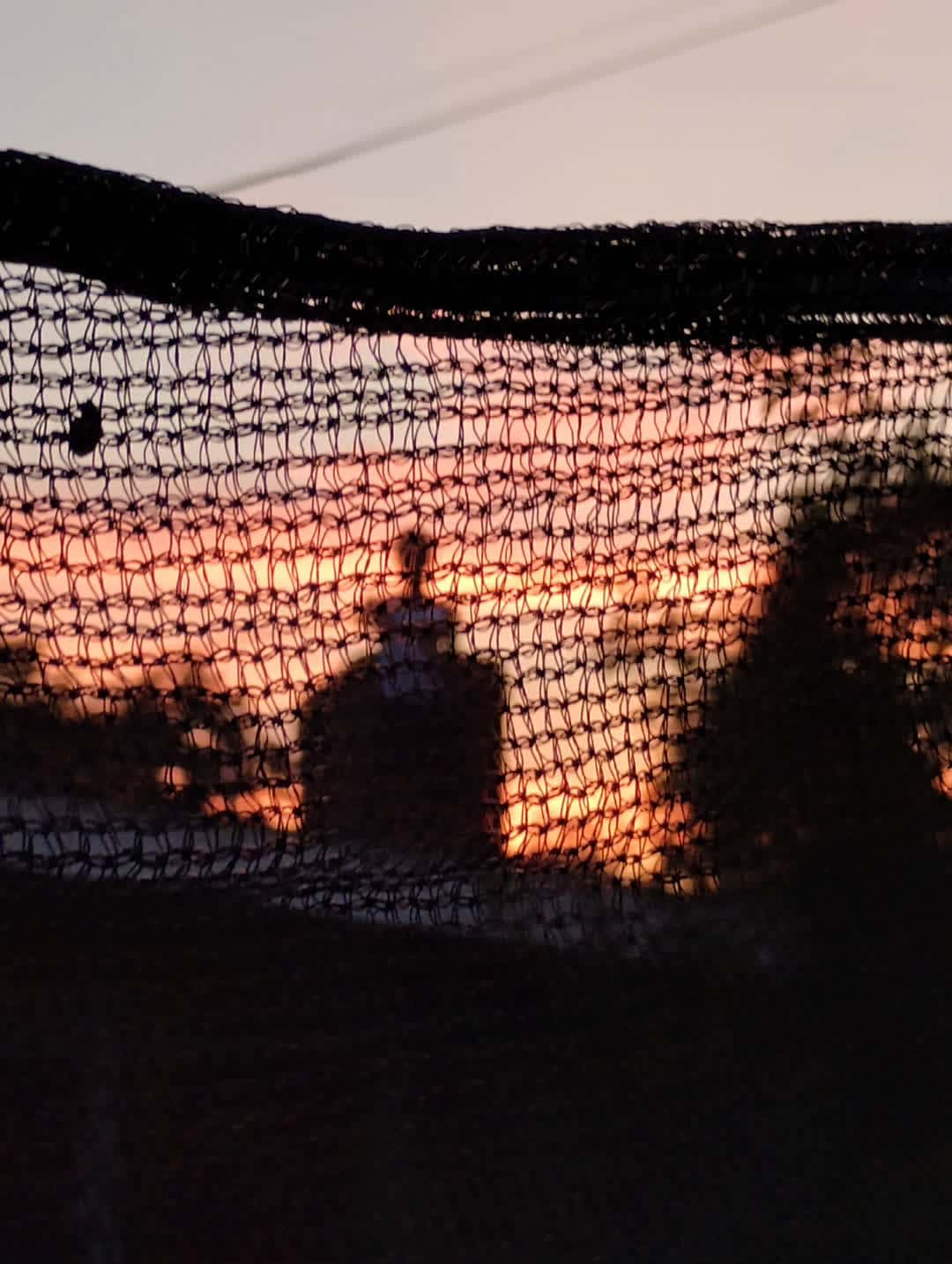 Cover for #7:30pm