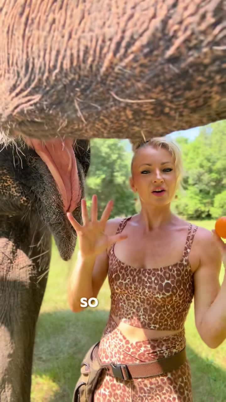 Cover for #Elephant #Animal #TikTok #FreeContactCare #ElephantCare #mybestfrien...