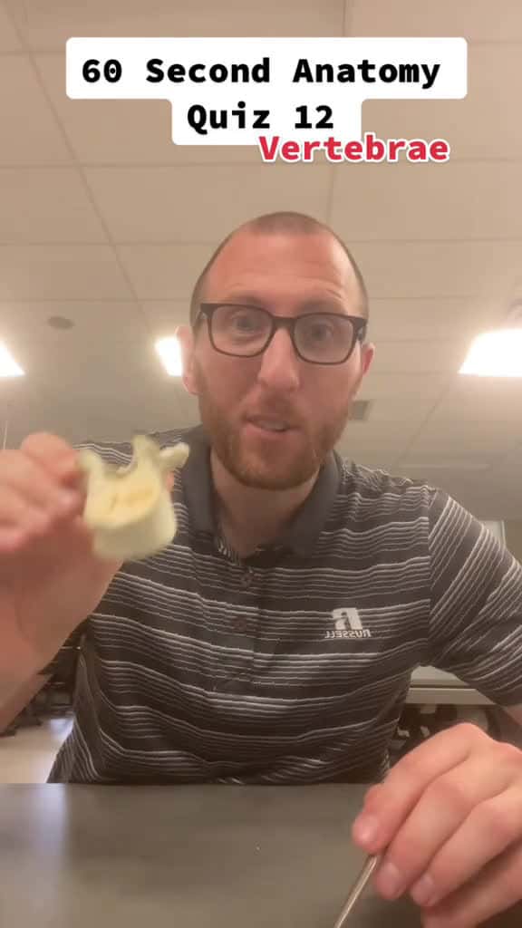 Cover for 60 Second Anatomy Quiz: Vertebrae #anatomy #anatomyquiz #vertebrae