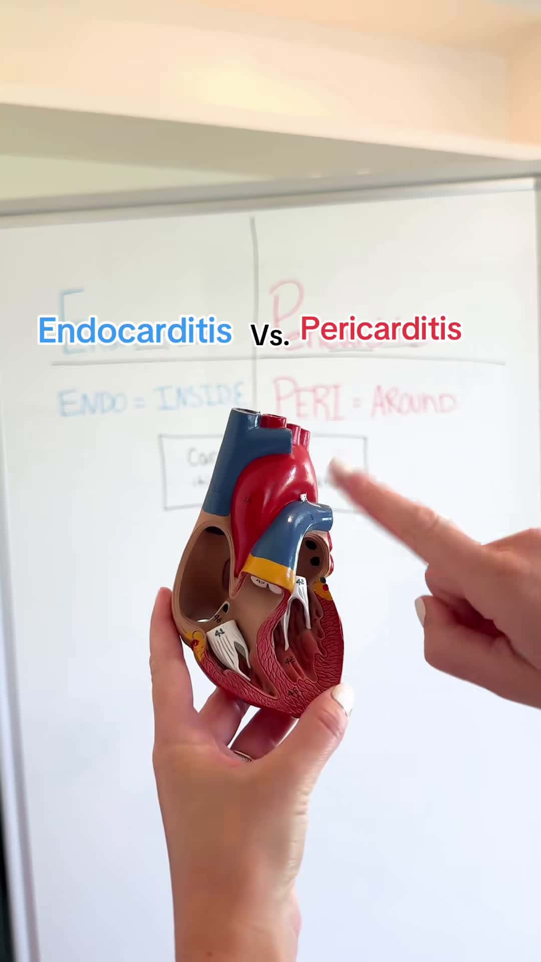 Cover for Endocarditis vs. Pericarditis: Do you know the difference?! 🫀🦠 #nursingschool #cardiacnursing #nursingfinals #RN #BSN #nursingstudents