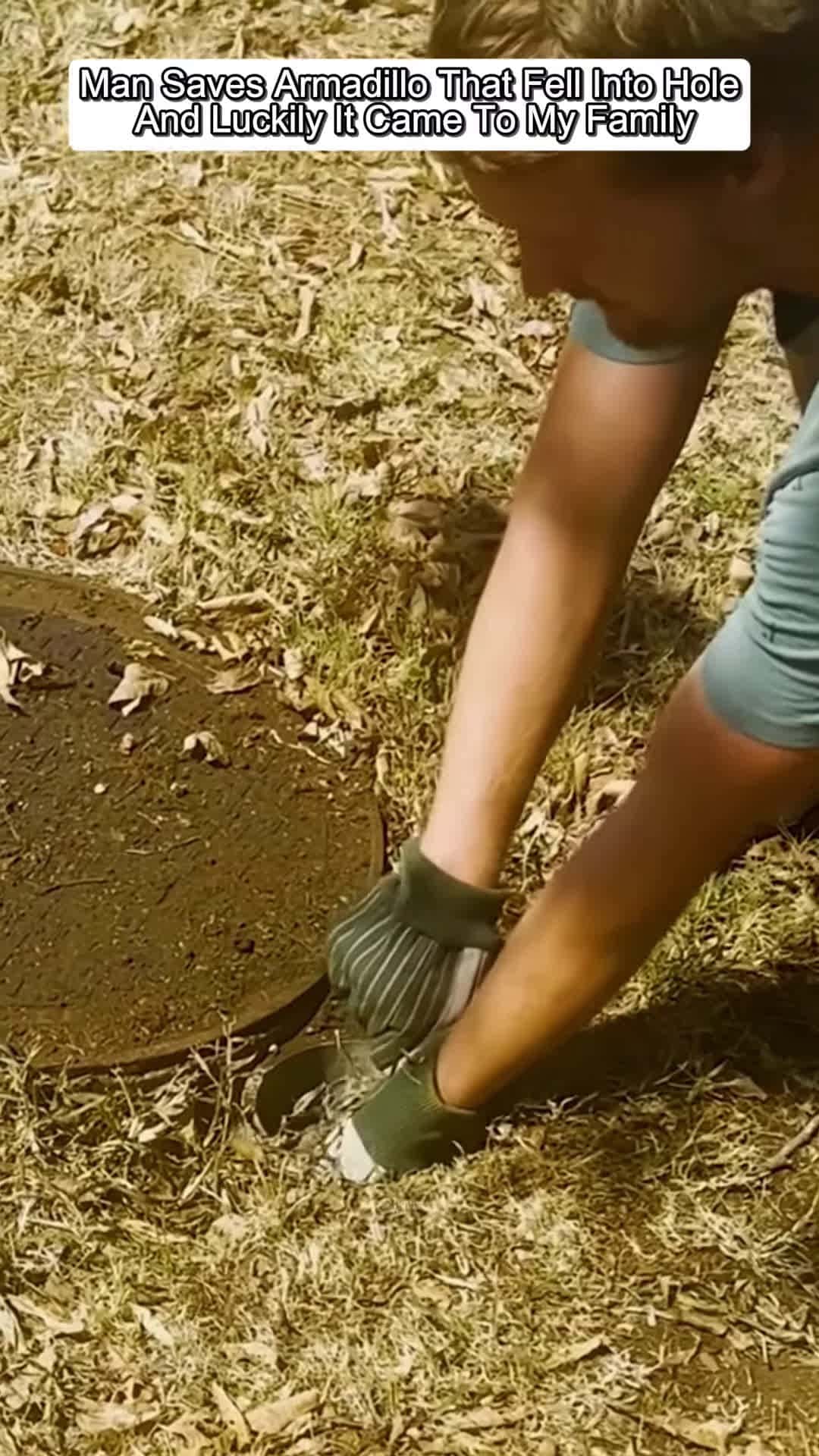 Cover for Man Saves Armadillo That Fell Into Hole And Luckily It Came To My Family animals