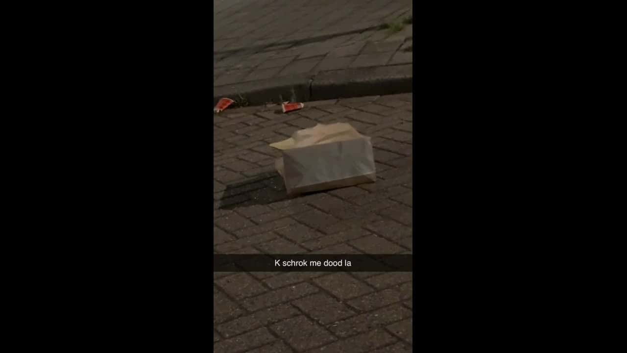 Cover for Strange creature jumps out of a McBag and scares the boy