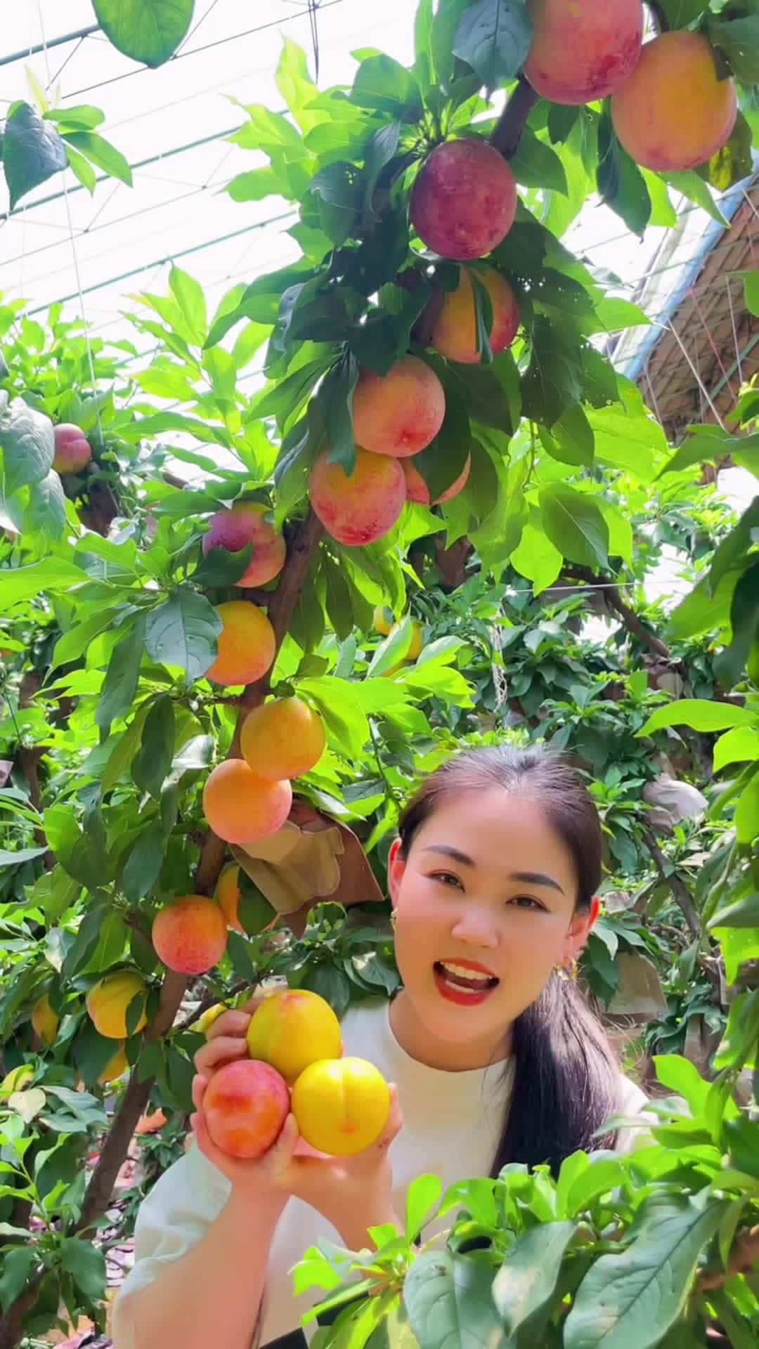 Cover for Fruity