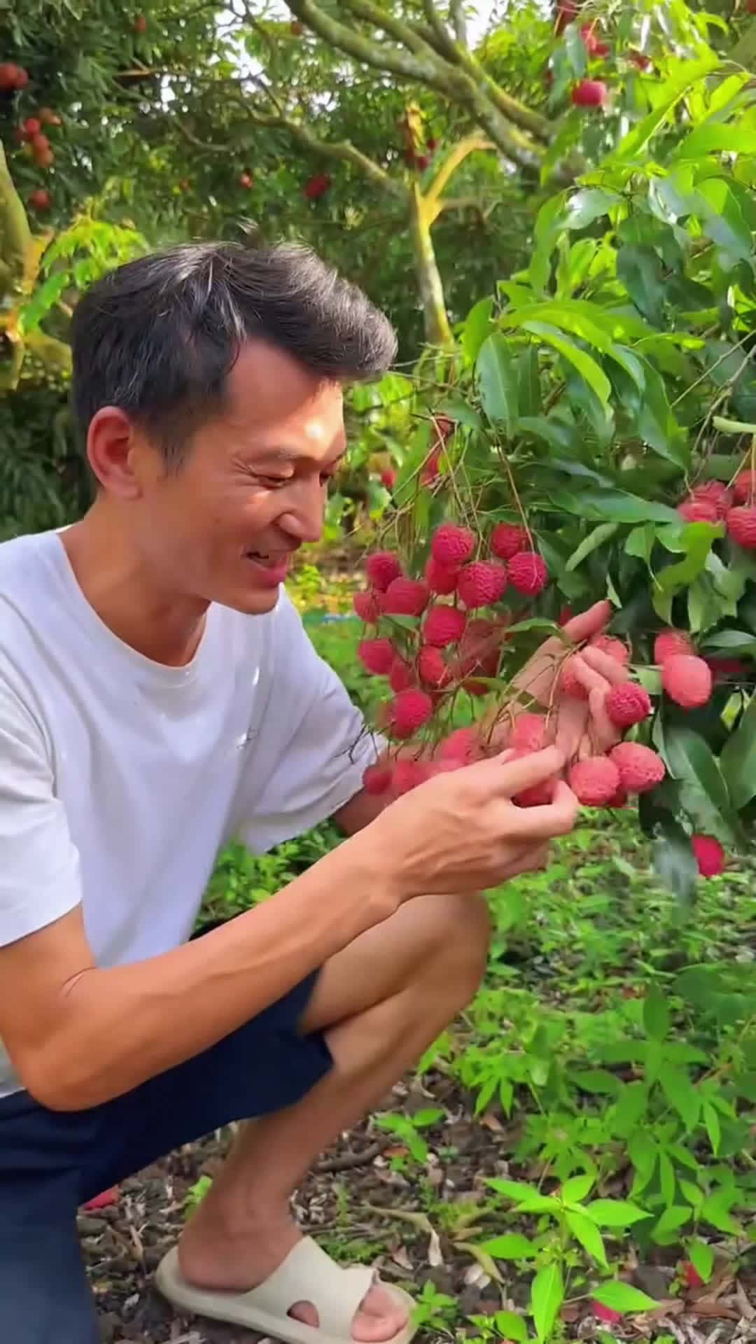 Cover for Fruity