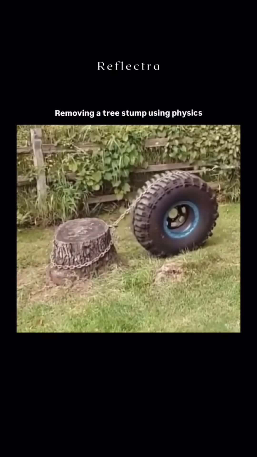 Cover for Removing a tree 🌴 stump with physics  #knowledge  #viral  #foryou #PraiseThatCameraman