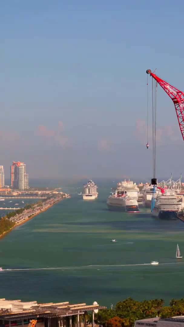 Cover for Cruise Ship Fashion Show #shorts #cruise #runway #miami #cruiselife #royalcaribbean #carnival