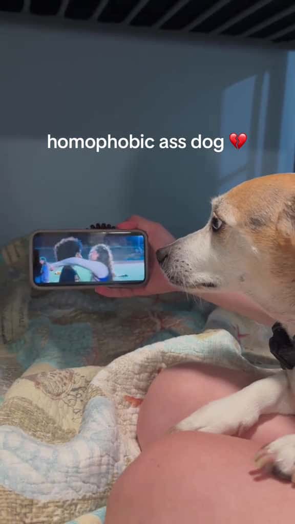 Cover for Dog was like can you skip this part real quick 😂😂😂dogsoftiktok dog foryou funnyvideos funny  laugh