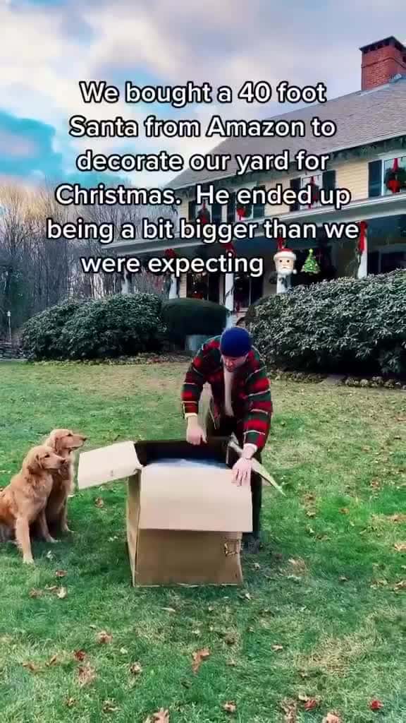 Cover for Tis the Season! DO YOU LOVE CHRISTMAS THEN YOULL LOVE MY CHRISTMAS ACCOUNT DAILY POSTS EVERYDAY!!Follow @christmasvibesz @christmasvibesz @christmasvibesz @christmasvibesz @ch_104