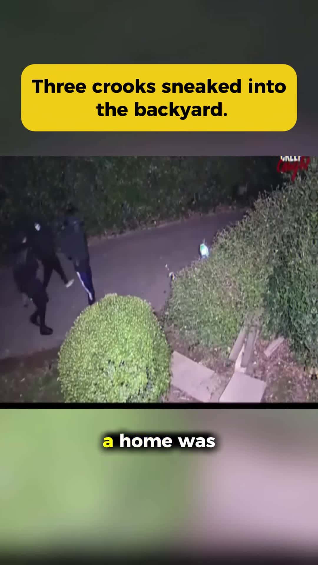 Cover for #CaughtOnCamera Three crooks sneaked into the backyard.