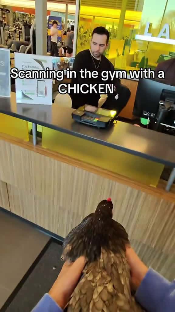 Cover for The chicken membership doesn t work gym troll 16107 #america