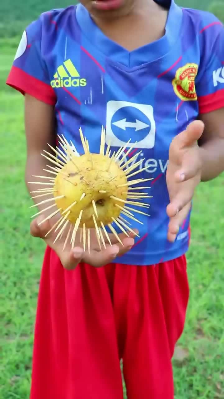Cover for Survival Skills- SMART ideas and USEFUL with single mom #camping #outdoor #ideas (2)