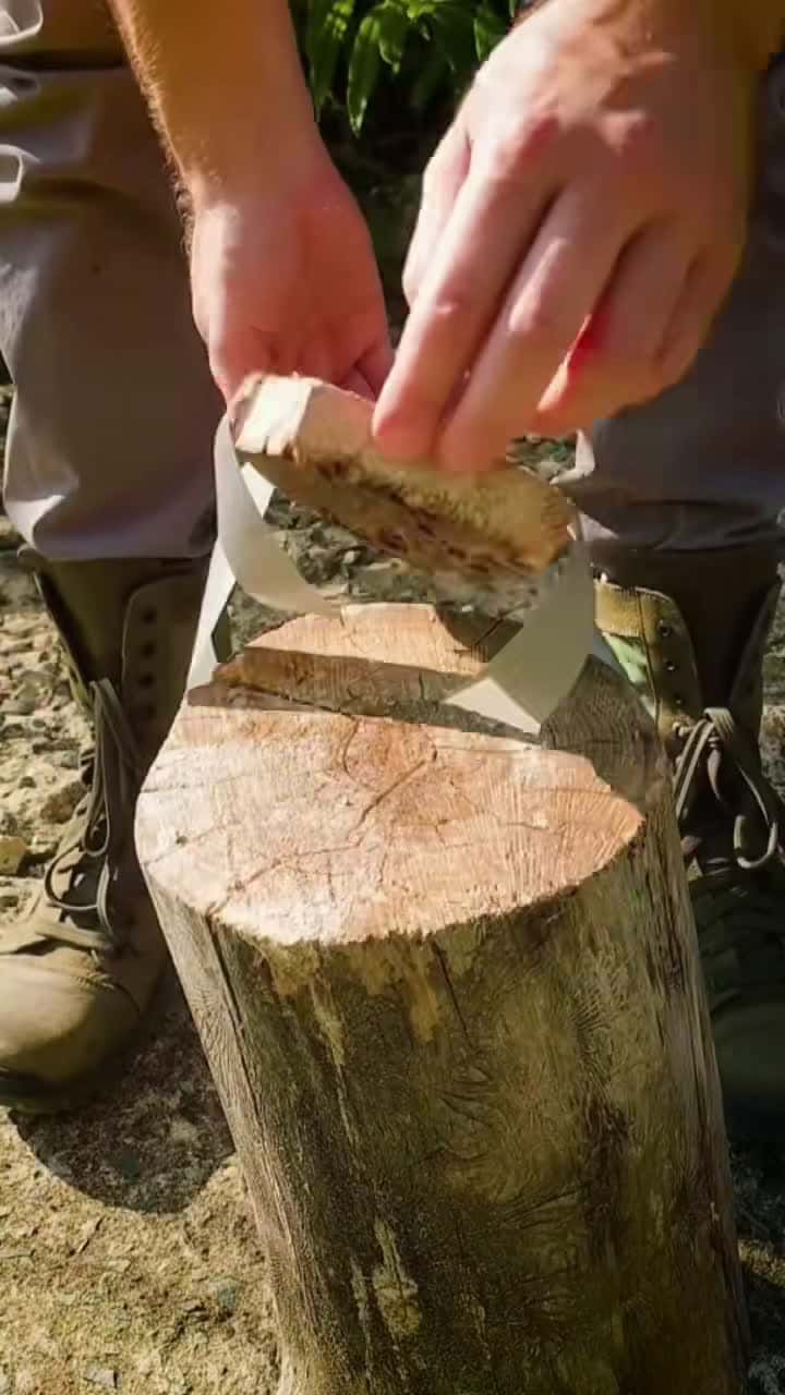 Cover for Survival skill #survival #survivalskills #tips #skill #fyp