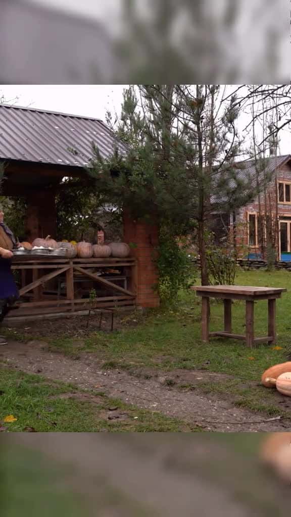 Cover for Caucasian Cheese Making From Fresh Milk to Delicious Cheese part3 67199 #trend