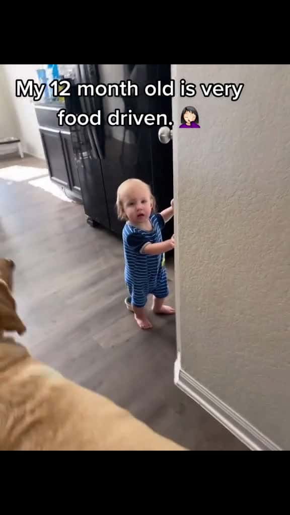 Cover for I ll never have to wonder if he s hungry. toddlersoftiktok 20somethingyearoldmoms MomsofTi 16038 #us