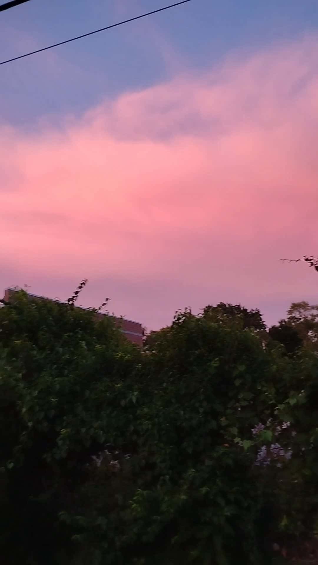 Cover for #pinkclouds 