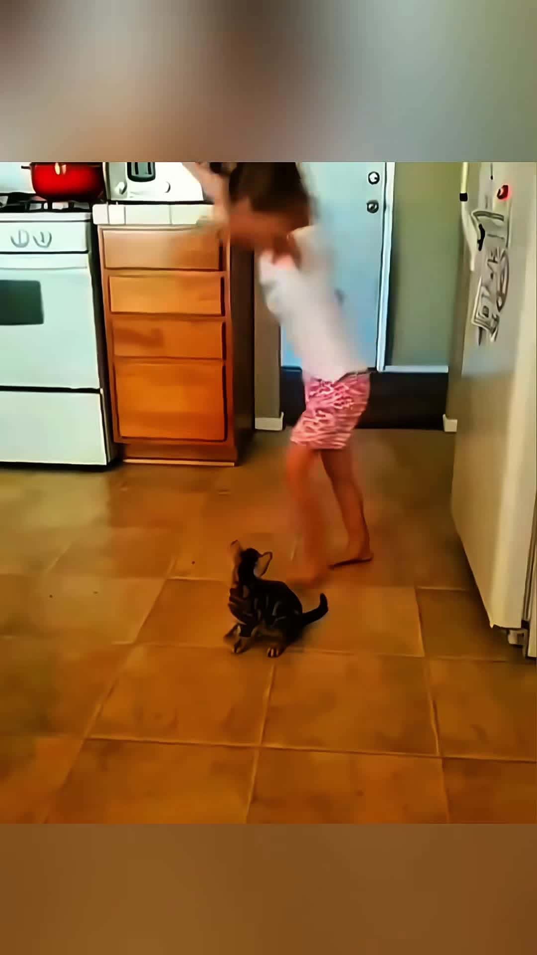 Cover for Funny stories about babies and cats 🥰❤️  #Pet #cat #dog #cute #animals #foryou #typ