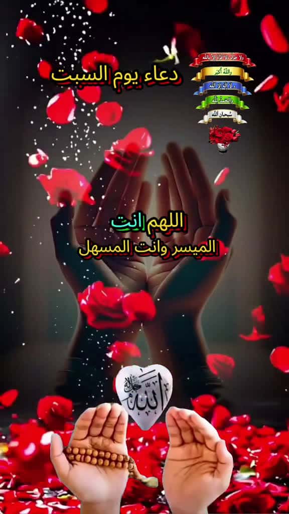 Cover for     naseemofficial014                                   34198 #america