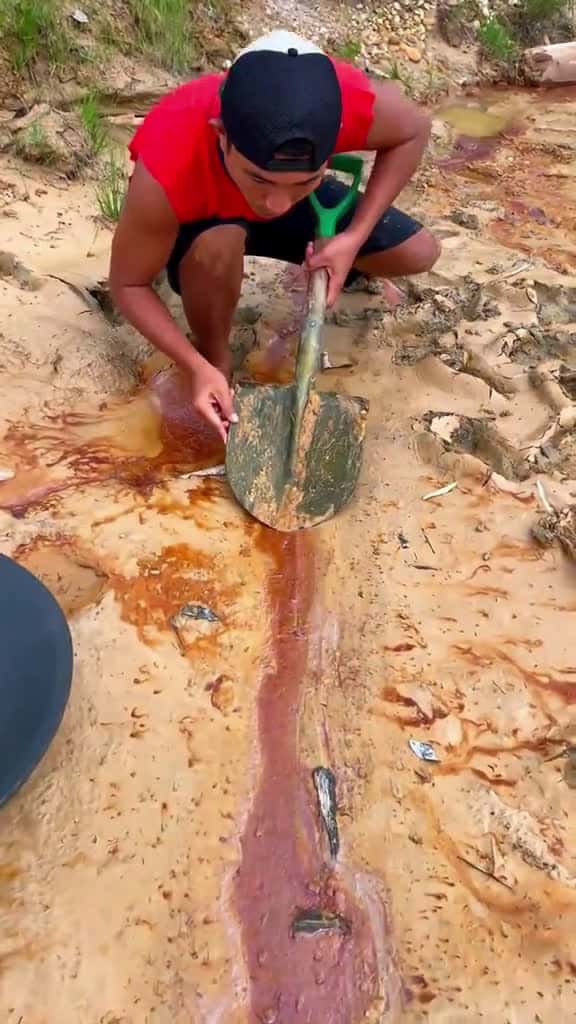 Cover for Looking for gold and panning for gold buried in river walls mininggold goldpanning goldhun 04206 #shortvideos