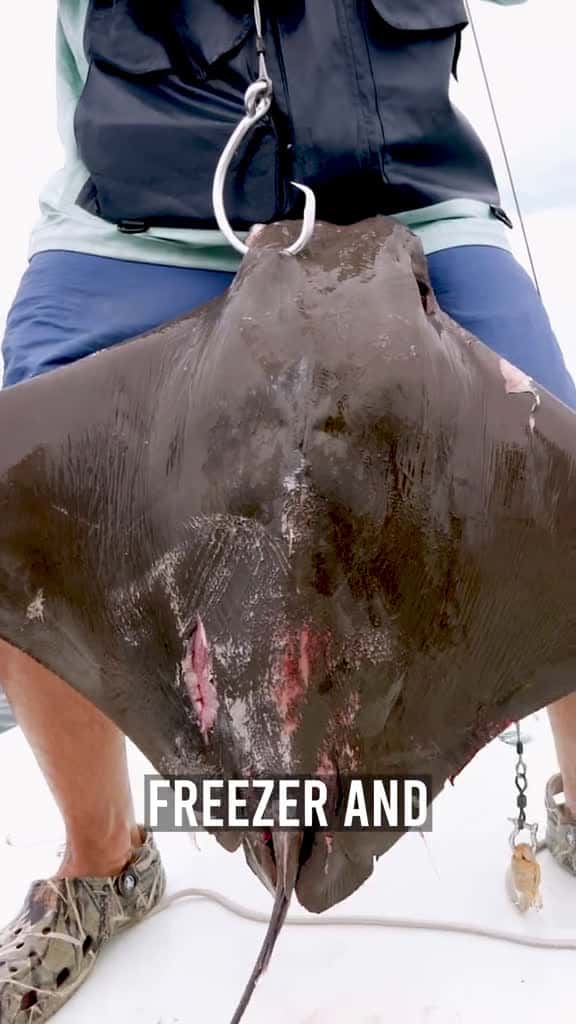Cover for Recycle Bait Fishing Challenge #recycle #1min #fishing #longervideos #bait 