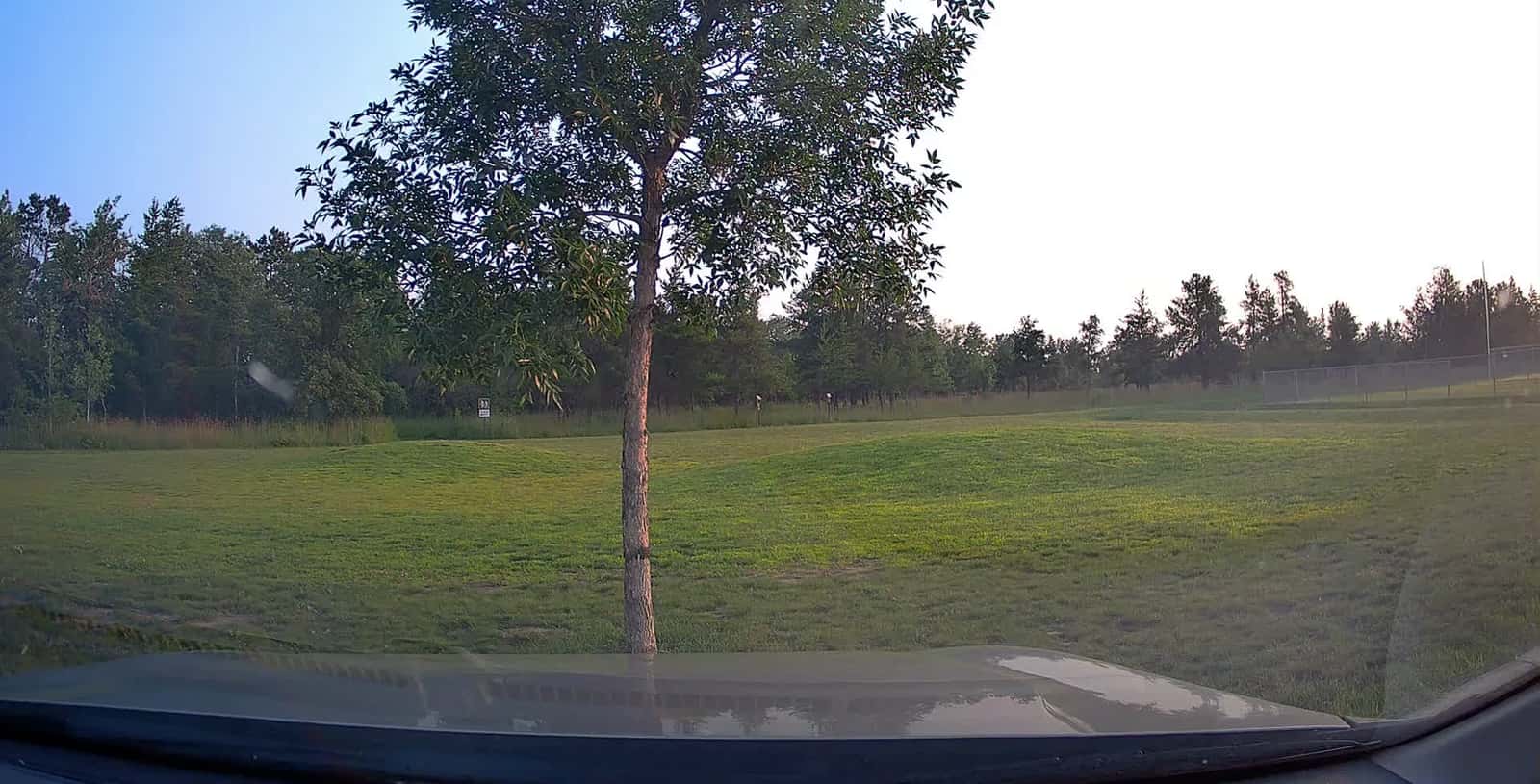 Cover for Car Takes a Wild Shortcut Through the Park and Vanishes Into the Woods! 🌲🚗 #CaughtOnCamera #Unexpected #ViralMoment