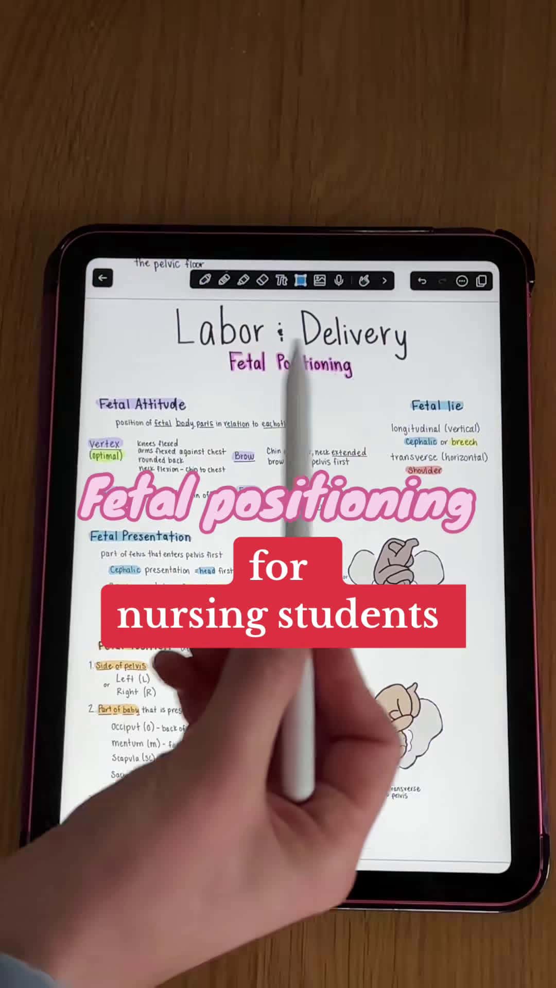 Cover for Fetal positioning explained! #nursingschool #nursingstudent #nursingstudenttips #nursingnotes #studytips #nursesoftiktok #laboranddelivery