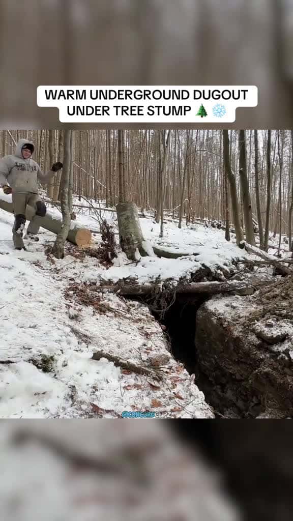 Cover for Underground winter bushcraft camp bushcraft camping outdoorlife survival 01418 #shortvideos