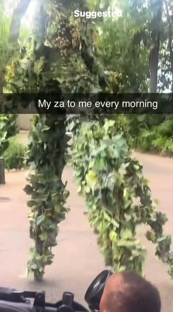 Cover for #zaza #relatable