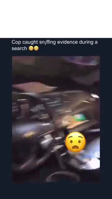 Cover for #mustsee #mustwatch #funny #funnyvideo #funnyvideos #funnyclips #lol #haha #lmao #fyp #fypシ #fypシ゚viral #fypage #fypシ゚ #fypツ #fypp #fyppp #fypviral #fypviralシ #fypageシ #viral #viralvideo #viralvideos #viral_video #for #foru #foruyou #foryou #foryoupage 