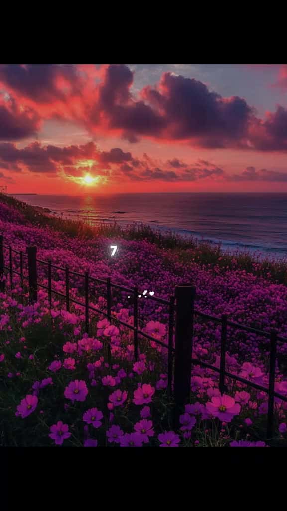 Cover for lovequotes lovequote quoteslove 14795 #ilovescoopz