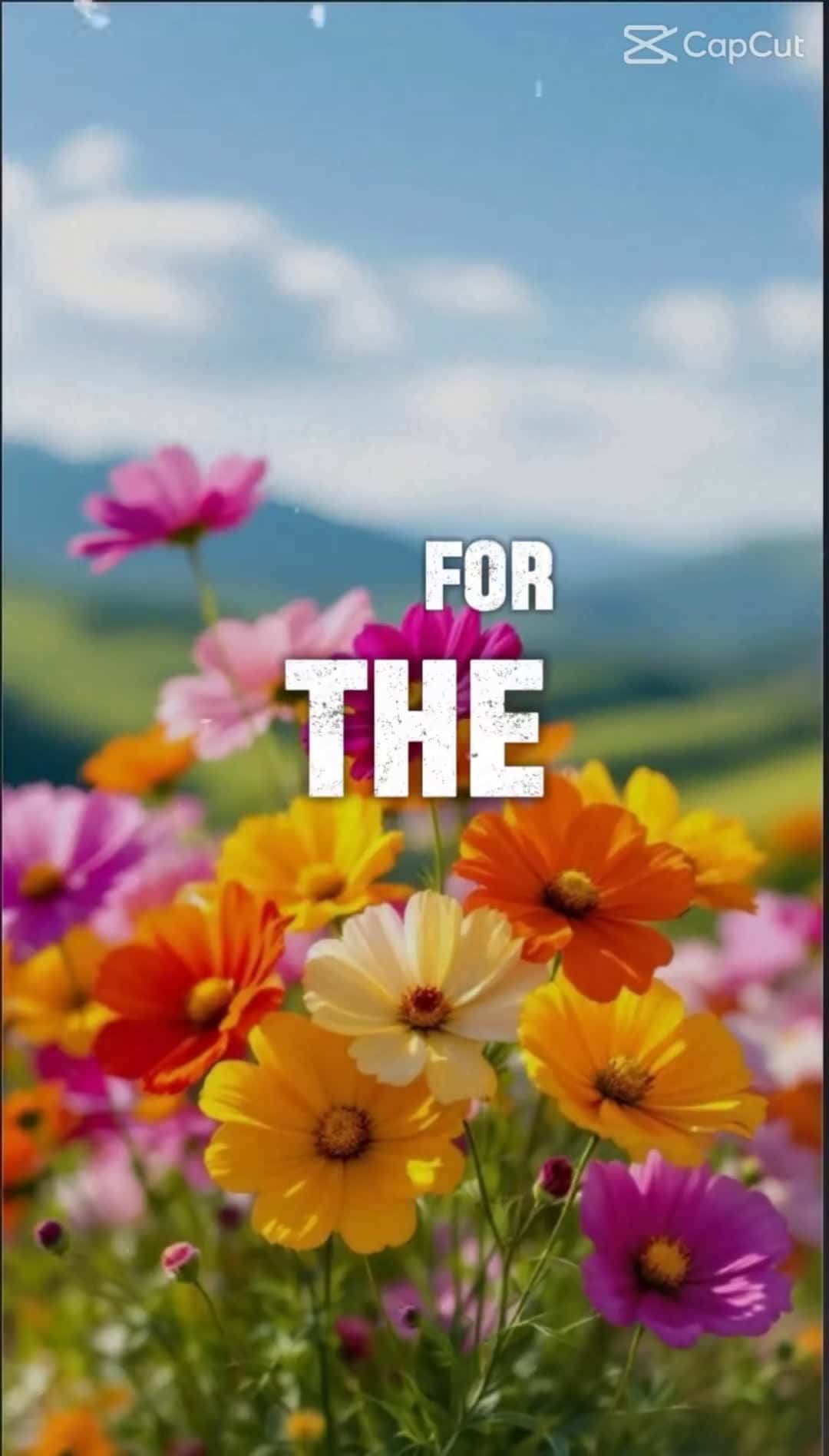 Cover for 🙏