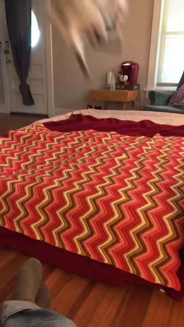 Cover for Cats and mattresses 🤣🤣#cat #catsoftiktok #funnyvideos #fyp #funnycat