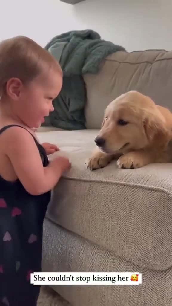 Cover for They still have a long time dog baby Love pet lovestory bestfriend digsoftiktok foryou usa 99115 #trend