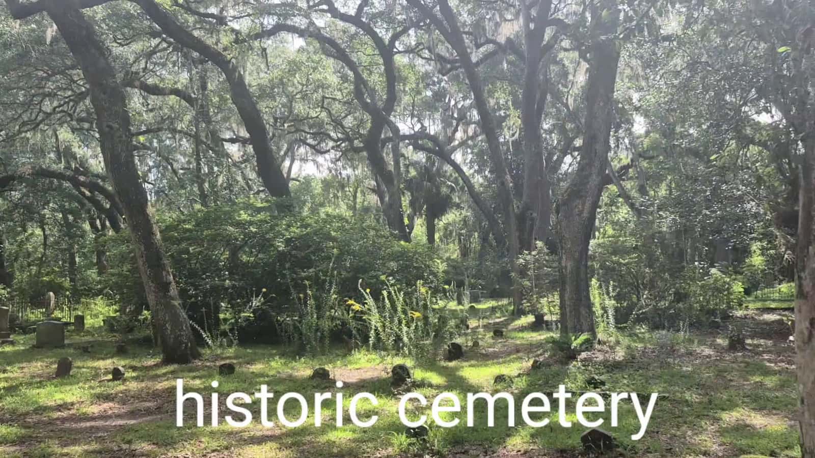 Cover for micanopy historic cemetery. florida. 