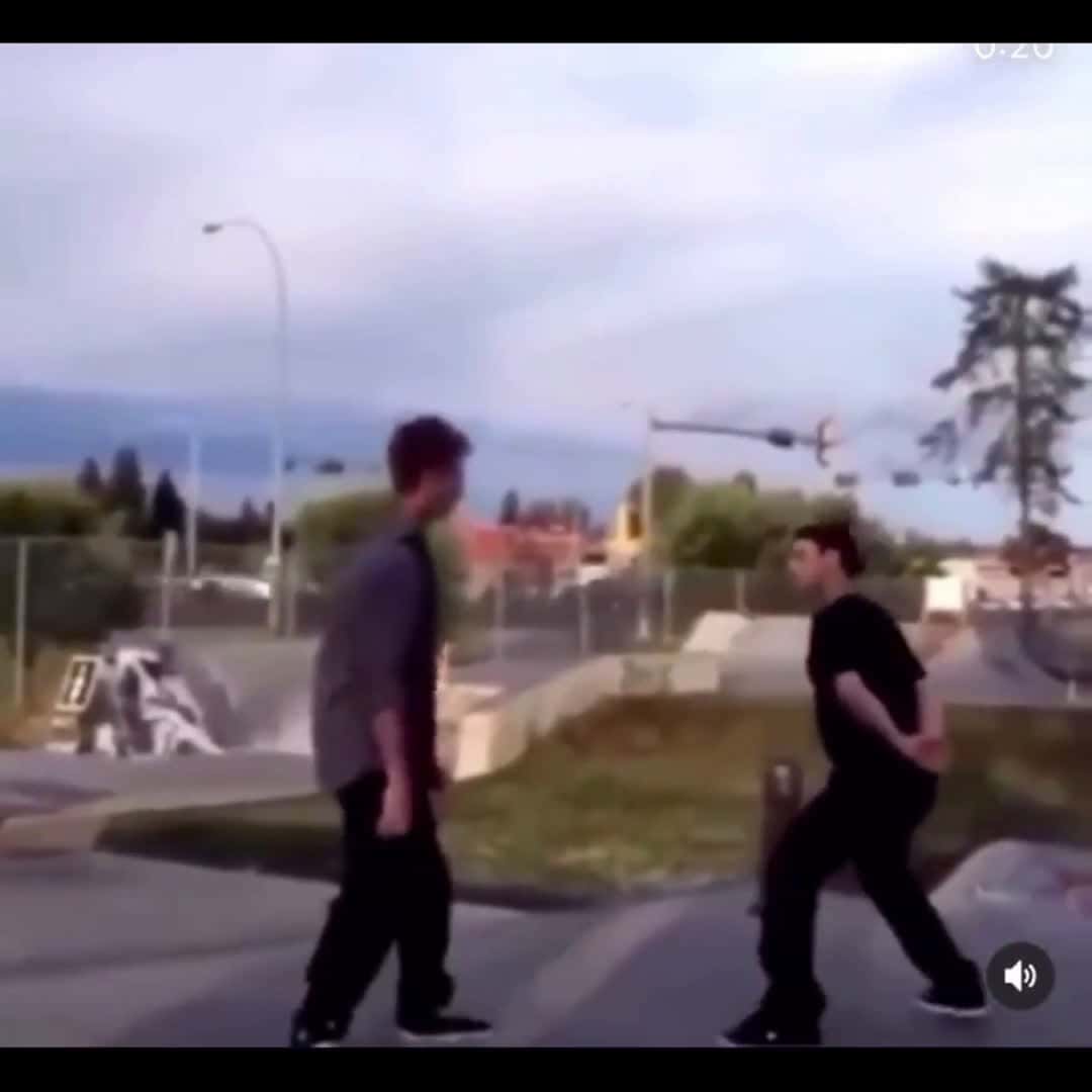 Cover for when you actually know how to fight