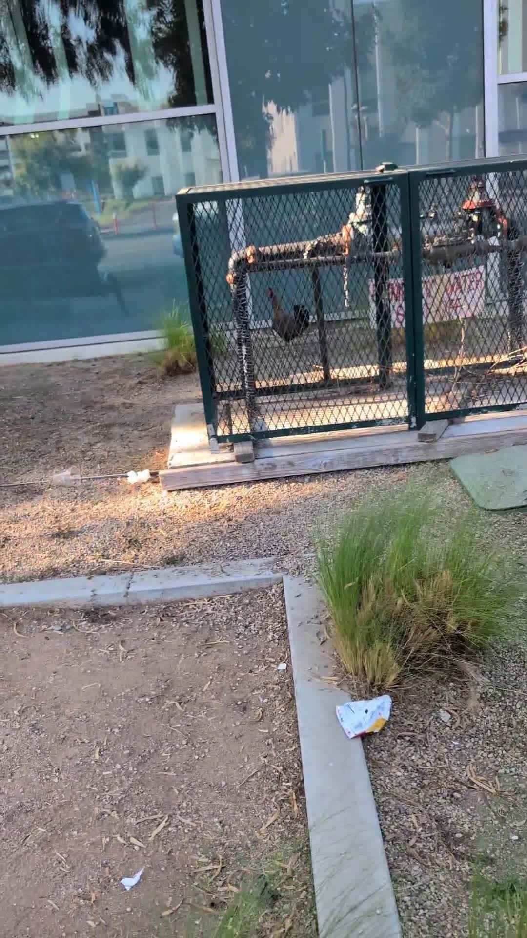 Cover for missing roaster at Wilmington ave at willbrook (unable to catch it)